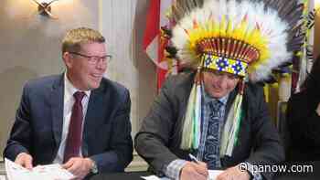 Saskatoon Tribal Council Chief says relaxing drug penalties will 'make change in First Nations peoples lives' - paNOW