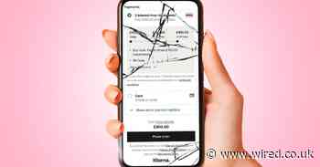 Regulation could destroy Klarna. But it could also save it