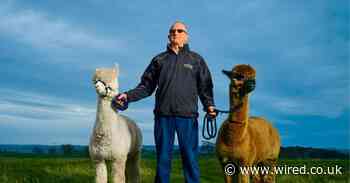 I quit Monzo to look after alpacas