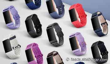 Fitbit might have a more affordable subscription tier under Google