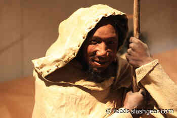 Some people may have COVID-19 resistance thanks to Neanderthal DNA