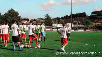 Torna in campo la Primavera del Matelica, Liberti: "Ne avevamo bisogno" - Vivere Camerino