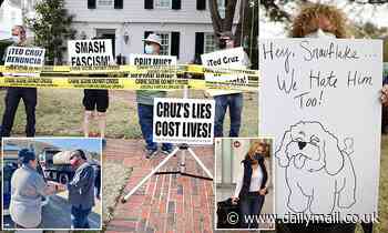 Protesters gather outside Ted Cruz's $2million Houston home - Daily Mail