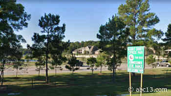 Human skull found at northwest Harris County park - KTRK-TV