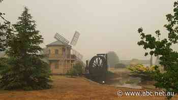 Bushfire-hit businesses bounce back as government vouchers deliver $85m reprieve