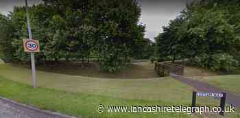 Body of man in his 30s found in wooded area close to main road