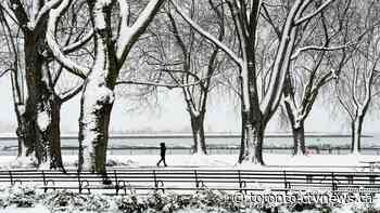 Toronto under winter weather travel advisory with 5 to 10 cm of snow expected