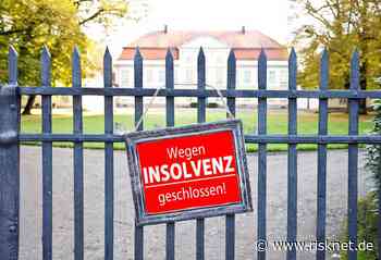 Whitepaper: Kreditausfälle reduzieren - RiskNET