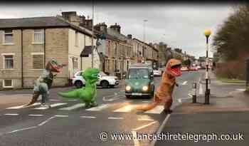 Darwen's dino deliveries hailed 'roaring' success as tearoom owners say they'll be back for Easter