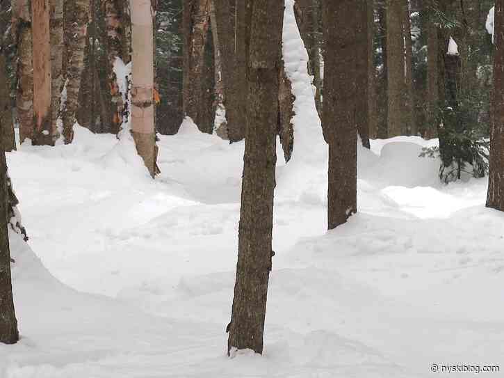 Gore Mountain: Packed Out Trees