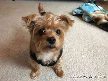 Can you find peace and quiet with these almost cheap noise-cancelling earbuds?