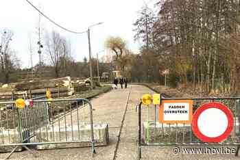Koekoekstraat in Membruggen tijdelijk afgesloten voor paddenoversteek