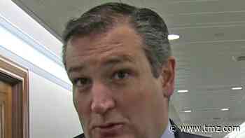 Sen. Ted Cruz's Home the Site of Mariachi Jam Session in Houston