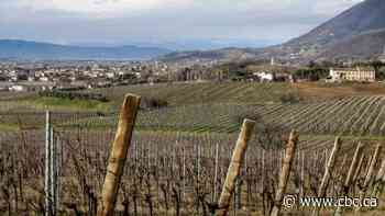 Italy's women and youth were hardest hit by COVID-19's economic impact. Now, its recovery hinges on them