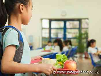 ‘Ideology on a plate’: Row after French city takes meat off menu for schoolchildren