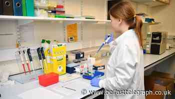 University students on practical courses set to return for in-person teaching