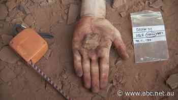 Rio Tinto executive got big pay rise after review of Juukan cave blast