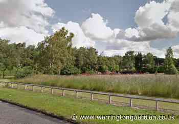 Council to move Callands trees planted without permission