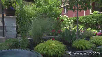 Garden Walk Buffalo registration now open