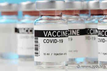 State Eases Penalty On Elbert Medical Practice, Sets Vaccine Policy - GPB News