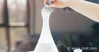 Best essential oil diffusers for 2021     - CNET