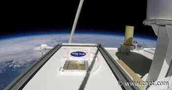 Life from Earth could survive on Mars, at least for a while     - CNET