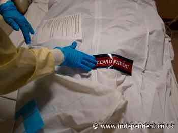 US hits 500,000 coronavirus deaths