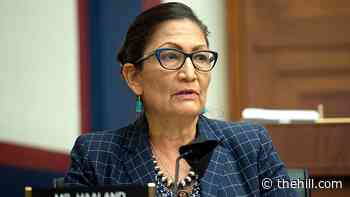 Image of Deb Haaland projected onto Interior Dept building calling for her confirmation