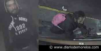 Robó, lo detienen, lo dejan libre y vuelve a robar, en Cuernavaca - Diario de Morelos