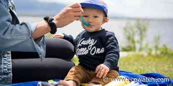 How Safe Is Your Baby Food? Here's What You Need to Know About Arsenic, Lead and Other Heavy Metals - EcoWatch