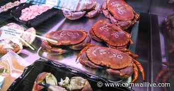 Cornish shellfish company fined for using other companies' food safety labels - Cornwall Live