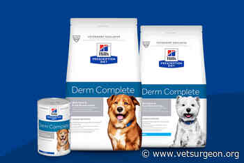 New diet for dogs with food and environmental allergies - VetSurgeon.org