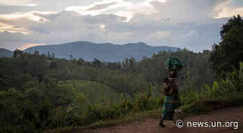 Three killed in attack on UN World Food Programme convoy in DR Congo - UN News
