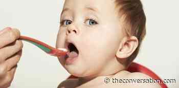 How safe is your baby food? Company reports show arsenic, lead and other heavy metals – here's what you need to know - The Conversation US