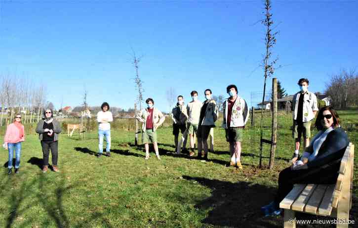Als vertigo je uit evenwicht brengt en je eigen horrorverhaal wordt, is er de Muziekvallei