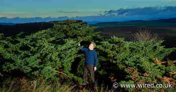 I ditched my career as a high-flying investment banker to live in a bog