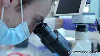 What a stem cell ‘reboot’ technique could mean for us?