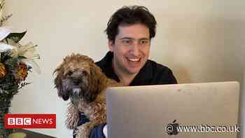 The video call apps linking home workers with strangers