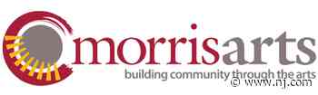 Morris Arts awards local arts grants for 2021 - nj.com