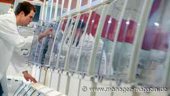 Dialysetochter FMC bremst Fresenius auch 2021