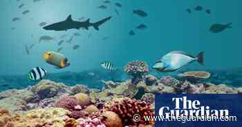 Beneath the blue: dive into a dazzling ocean under threat – interactive