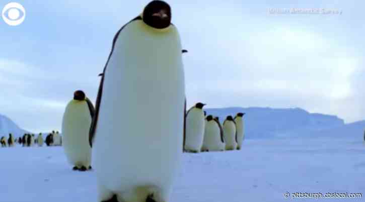 Floating Igloo Design Helps To Protect Emperor Penguins