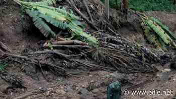 Stop offshoring emissions to poorer countries, Fairtrade Foundation urges Government