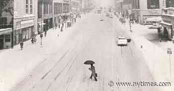 A Drug-Fueled New York City Bacchanal and the Lives It Changed