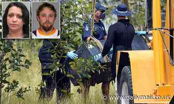 Drug dealers in Queensland toolbox drowning pleaded not guilty to 'barbaric' murders