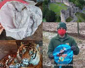 Dudley Zoo bosses warn of sky lantern / helium balloon risks | Dudley - Dudley News