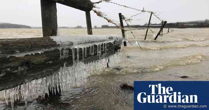 Country diary: life amid the icicles