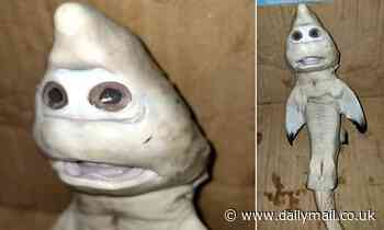 Indonesian fisherman finds mutant baby shark with 'a human face'