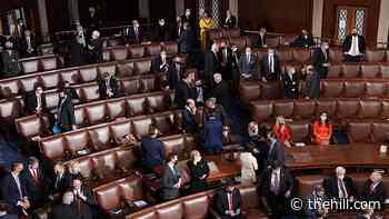 Congressional job approval at highest point since 2009: Gallup