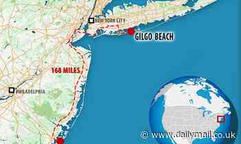 Lifetime film connects Gilgo Beach serial killings with Atlantic City murders